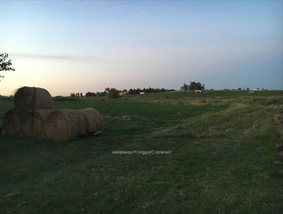 3 bedrooms House in Canelones, Uruguay No. 10224