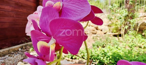 Вилла с 5 спальнями в Мешильоейра Гранде, Португалия № 70177 29