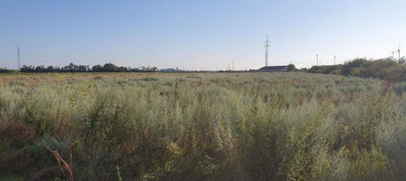 Grundstück in Neusiedl am See, Austria, Nr. 238721 4