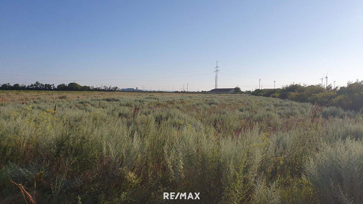 Grundstück in Neusiedl am See, Austria, Nr. 238721