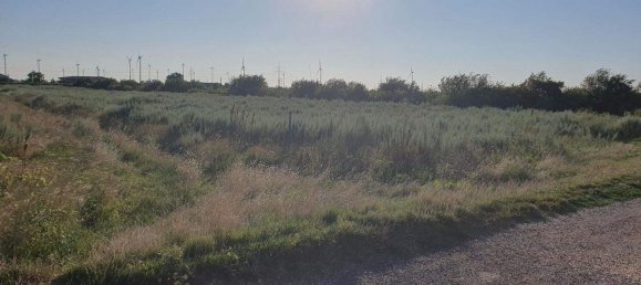 Grundstück in Neusiedl am See, Austria, Nr. 238721 2