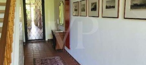 23-Zimmer Haus in Ludwigslust-Parchim, Germany, Nr. 129689 22