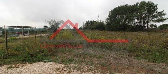 3 bedrooms House in Sintra, Portugal No. 146875 47