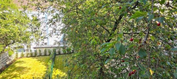 3 rooms Apartment in Wahring, Austria No. 259345 7