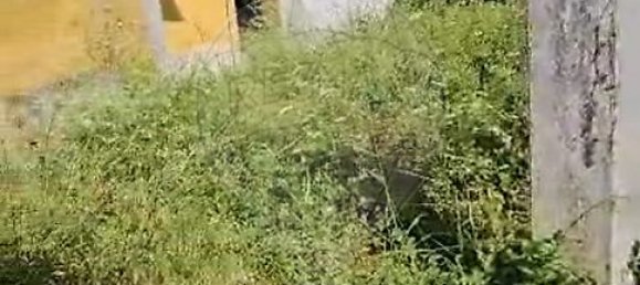 1 bedroom House in Almeirim, Portugal No. 24803 6