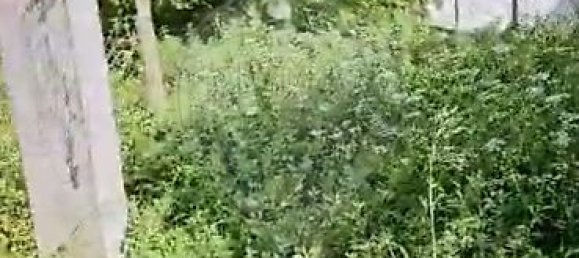 1 bedroom House in Almeirim, Portugal No. 24803 5