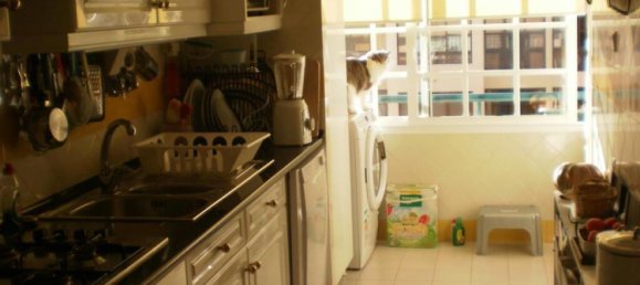 1 bedroom Apartment in Cascais, Portugal No. 96127 9