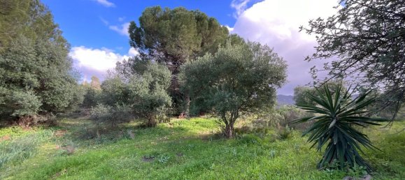 6 bedrooms House in Alhaurin de la Torre, Spain No. 64618 33