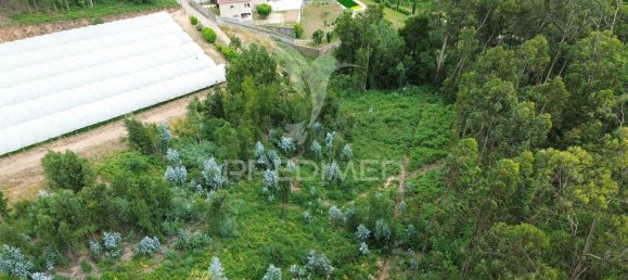 4150m² Land in Amarante, Portugal No. 56683 6
