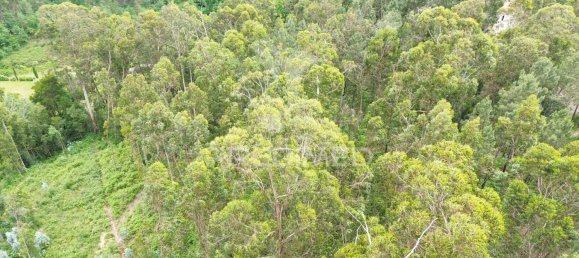 4150m² Land in Amarante, Portugal No. 56683 5