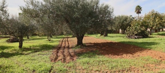 3 غرف نوم تاون هاوس في Faro, Portugal رقم 132267 24