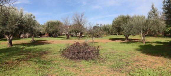 3 غرف نوم تاون هاوس في Faro, Portugal رقم 132267 26