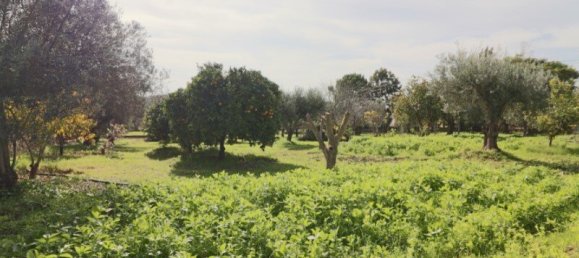 3 غرف نوم تاون هاوس في Faro, Portugal رقم 132267 22