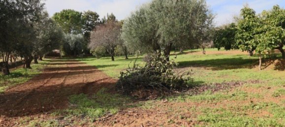 3 غرف نوم تاون هاوس في Faro, Portugal رقم 132267 25