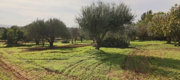 3 غرف نوم تاون هاوس في Faro, Portugal رقم 132267 23