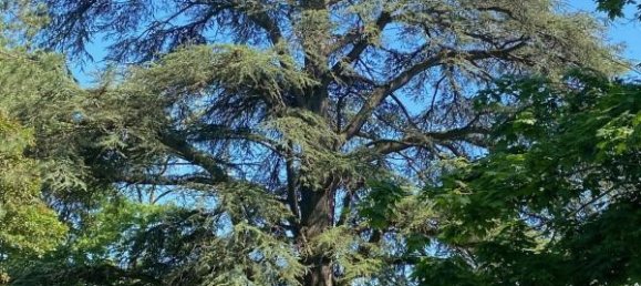 6 bedrooms Castles in Macon, France No. 346264 18