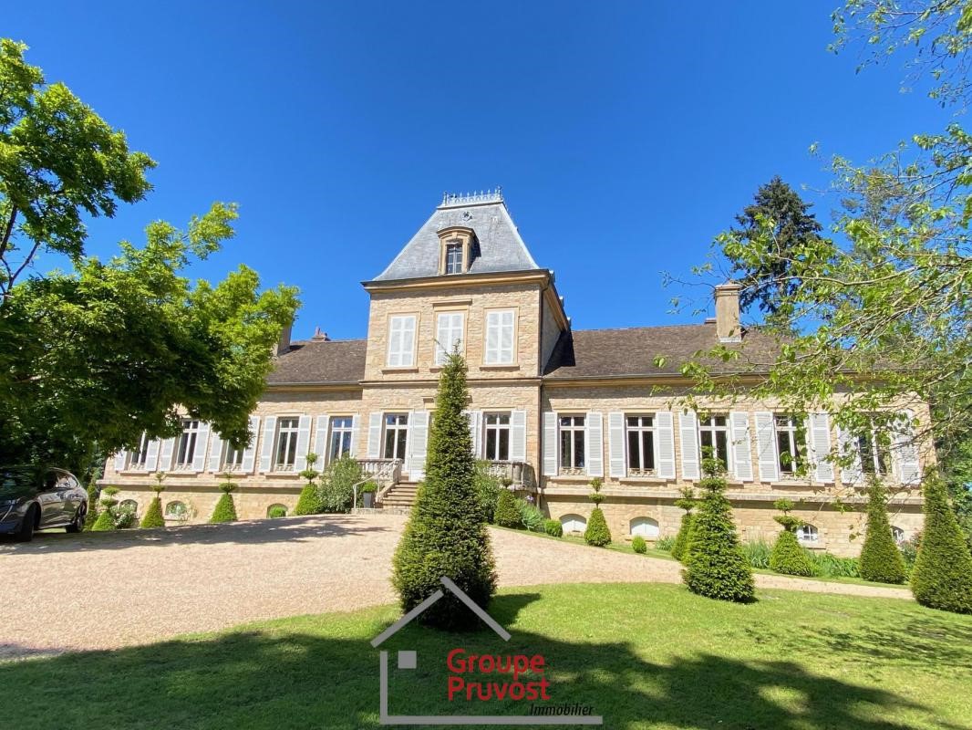 6 bedrooms Castles in Macon, France No. 346264