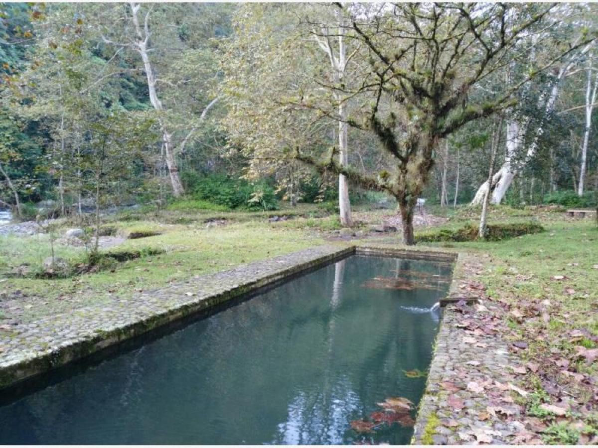  قطعة أرض في Veracruz, Mexico رقم 205046