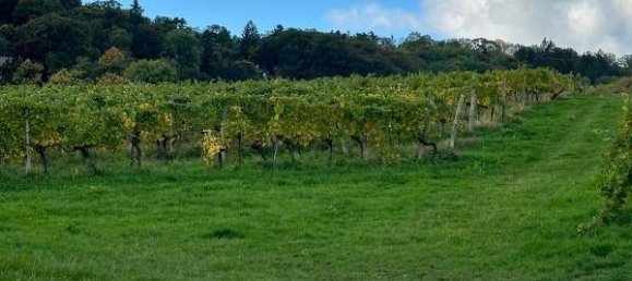 Studio in Döbling, Austria, Nr. 150334 9