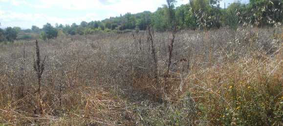 Terrain à Torre Le Nocelle, Italy No. 343985 5