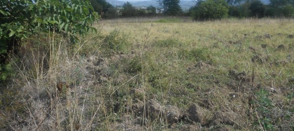 Terrain à Torre Le Nocelle, Italy No. 343985 11