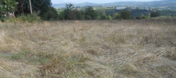 Terrain à Torre Le Nocelle, Italy No. 343985 16