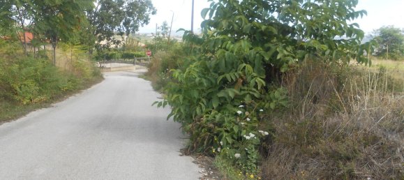 Terrain à Torre Le Nocelle, Italy No. 343985 13