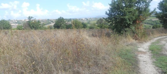 Terrain à Torre Le Nocelle, Italy No. 343985 23