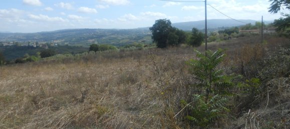 Terrain à Torre Le Nocelle, Italy No. 343985 17