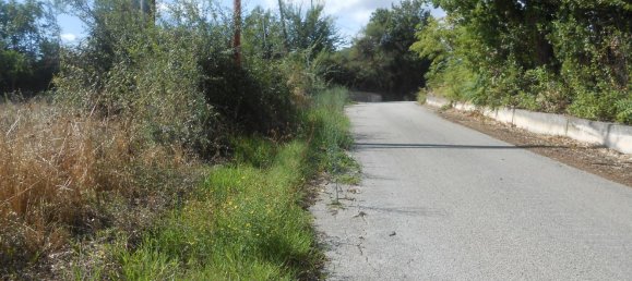 Terrain à Torre Le Nocelle, Italy No. 343985 8