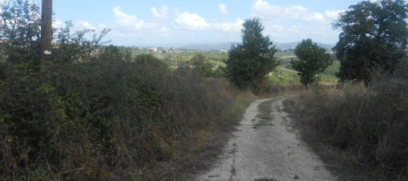 Terrain à Torre Le Nocelle, Italy No. 343985 20