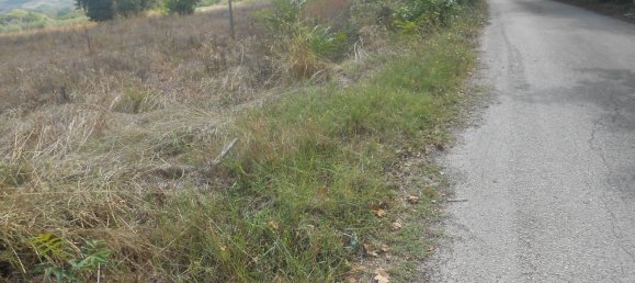 Terrain à Torre Le Nocelle, Italy No. 343985 14