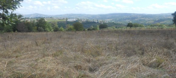 Terrain à Torre Le Nocelle, Italy No. 343985 15
