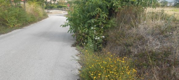 Terrain à Torre Le Nocelle, Italy No. 343985 12