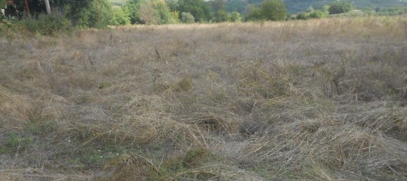 Terrain à Torre Le Nocelle, Italy No. 343985 19