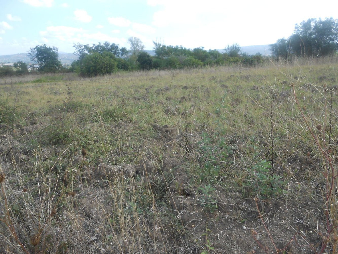 Terrain à Torre Le Nocelle, Italy No. 343985
