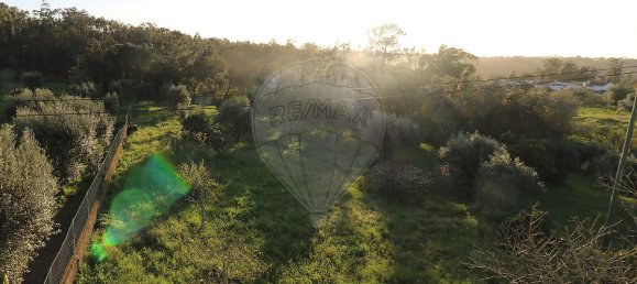 6 Schlafzimmer Haus in Pombal, Portugal, Nr. 19532 26