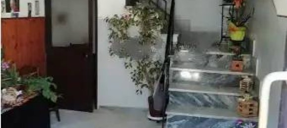 10 rooms Building in Villanova Monteleone, Italy No. 177674 12