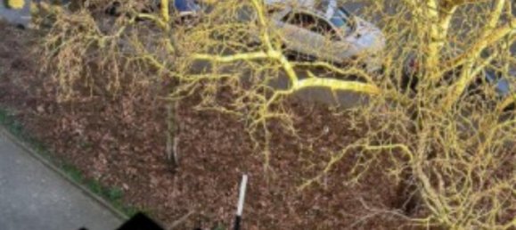 3غرفة شقة في Frankfurt am Main, Germany رقم 42624 9