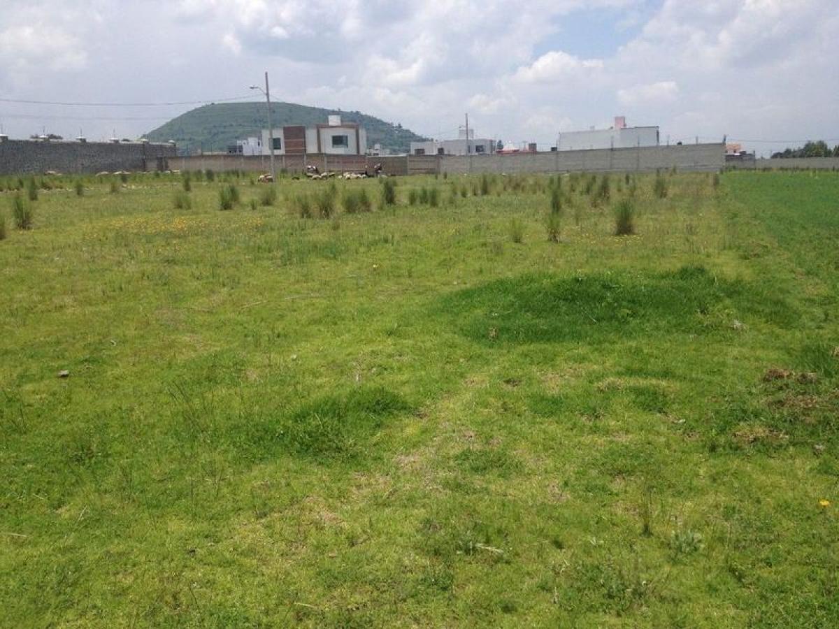  قطعة أرض في San Buenaventura, Mexico رقم 207054