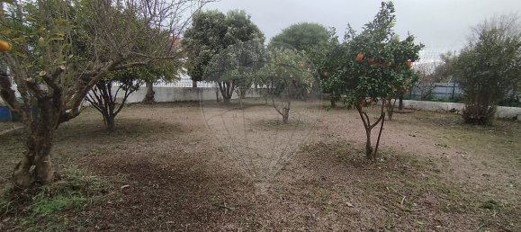 9 Schlafzimmer Gebäude in Crato, Portugal, Nr. 69738 21