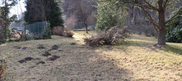 4 chambres Maison à Biella, Italy No. 335522 8