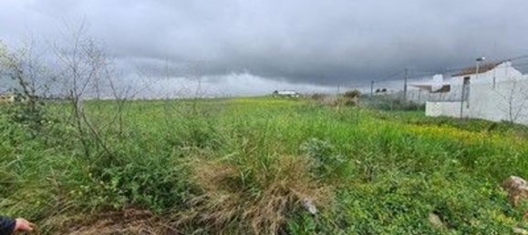 10600m² Land in Cascais, Portugal No. 80993 25