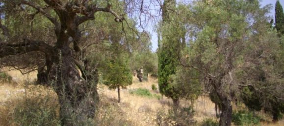 Land for sale in Zakynthos, Ionian Islands, Peloponnese, Western Greece and the Ionian, Greece № 90204 13