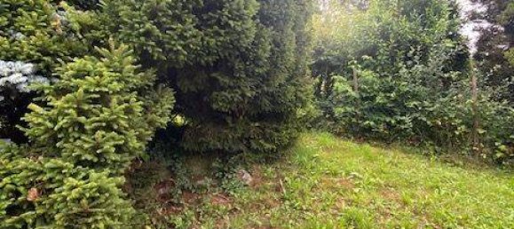 4غرفة منزل في Ortenaukreis, Germany رقم 241386 14