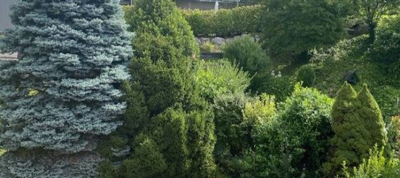 4غرفة منزل في Ortenaukreis, Germany رقم 241386 15