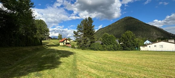 12700m² Land in Neunkirchen, Austria No. 245034 2