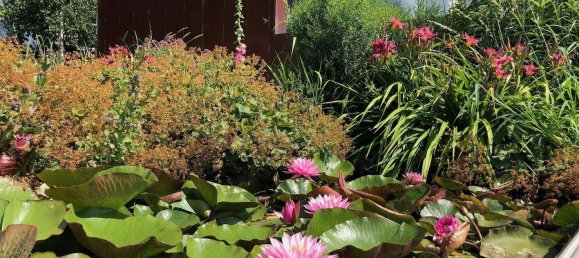 Villa T4 em Neusiedl am See, Austria N.º 180120 14