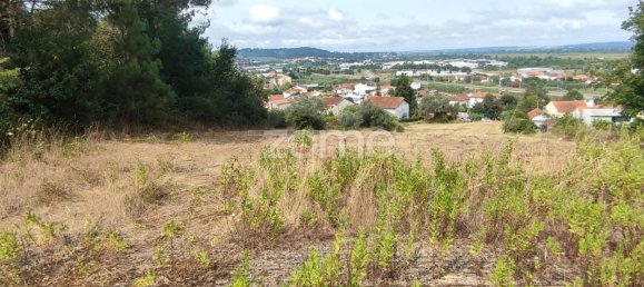  قطعة أرض في Coimbra, Portugal 4571متر مربع رقم 90218 2