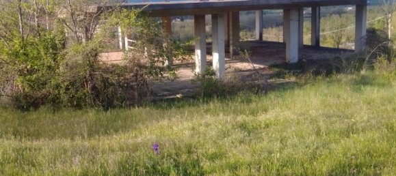 Grundstück in Ruviano, Italy 3000m², Nr. 254523 4